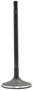 DNJ Engine Components Intake Valve