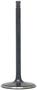 DNJ Engine Components Intake Valve