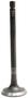 DNJ Engine Components Intake Valve