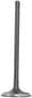 DNJ Engine Components Intake Valve