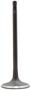 DNJ Engine Components Intake Valve