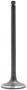 DNJ Engine Components Intake Valve