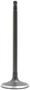 DNJ Engine Components Intake Valve