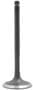 DNJ Engine Components Intake Valve