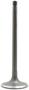 DNJ Engine Components Intake Valve