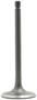 DNJ Engine Components Intake Valve
