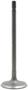 DNJ Engine Components Intake Valve
