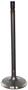 DNJ Engine Components Intake Valve