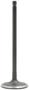 DNJ Engine Components Intake Valve