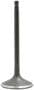 DNJ Engine Components Intake Valve