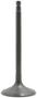 DNJ Engine Components Intake Valve