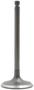 DNJ Engine Components Intake Valve