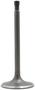 DNJ Engine Components Intake Valve