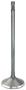 DNJ Engine Components Intake Valve
