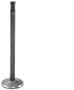 DNJ Engine Components Intake Valve