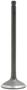 DNJ Engine Components Intake Valve