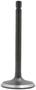 DNJ Engine Components Intake Valve