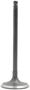 DNJ Engine Components Intake Valve