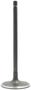 DNJ Engine Components Intake Valve