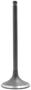 DNJ Engine Components Intake Valve
