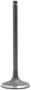 DNJ Engine Components Intake Valve