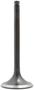 DNJ Engine Components Intake Valve