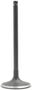 DNJ Engine Components Intake Valve