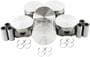 DNJ Engine Components Piston Set