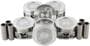 DNJ Engine Components Piston Set