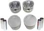 DNJ Engine Components Piston Set