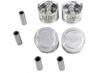 DNJ Engine Components Piston Set