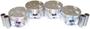 DNJ Engine Components Piston Set