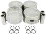 DNJ Engine Components Piston Set