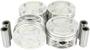 DNJ Engine Components Piston Set