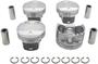 DNJ Engine Components Piston Set