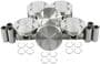 DNJ Engine Components Piston Set