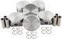 DNJ Engine Components Piston Set