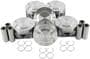 DNJ Engine Components Piston Set