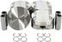DNJ Engine Components Piston Set
