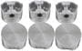 DNJ Engine Components Piston Set