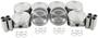 DNJ Engine Components Piston Set