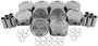 DNJ Engine Components Piston Set