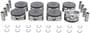 DNJ Engine Components Piston Set