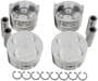 DNJ Engine Components Piston Set