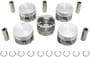 DNJ Engine Components Piston Set