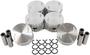 DNJ Engine Components Piston Set
