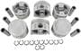 DNJ Engine Components Piston Set