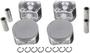 DNJ Engine Components Piston Set
