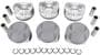 DNJ Engine Components Piston Set