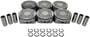 DNJ Engine Components Piston Set